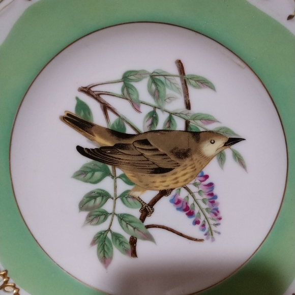 🎯.🎯 Vtg.Warbler Bird Twig Plate Hand Painted Yellow-Brown Mid Century - Picture 2 of 8